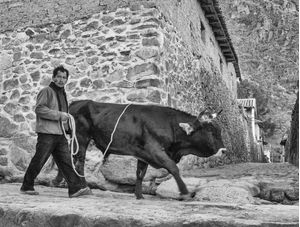URBAN SCENE, ANDEAN CULTURE