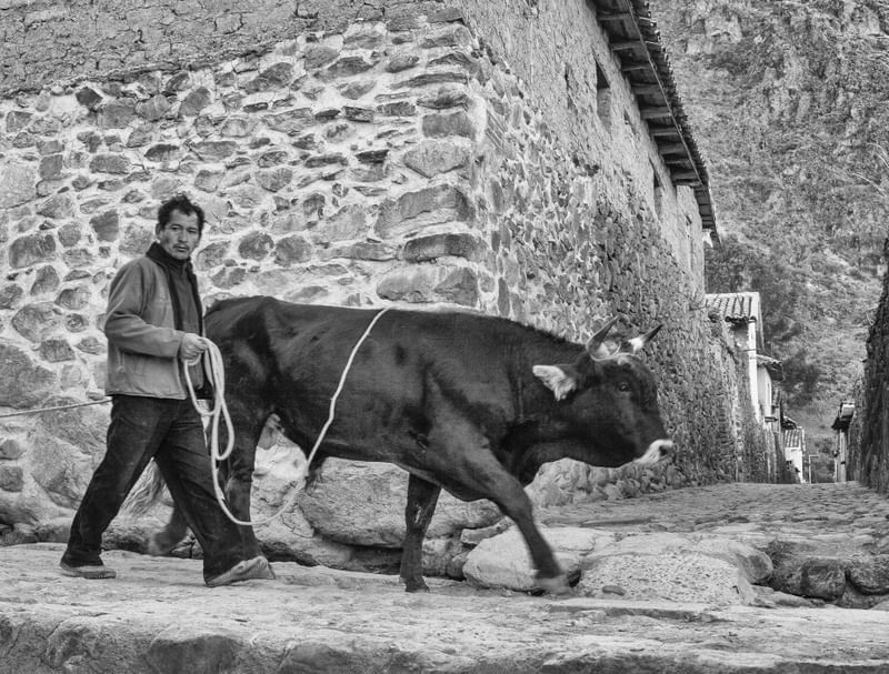 URBAN SCENE, ANDEAN CULTURE