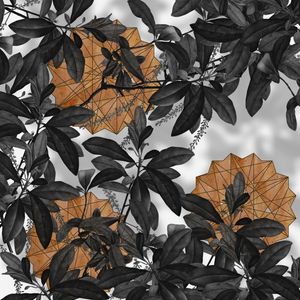 FOLHAS COM FORMAS LARANJA