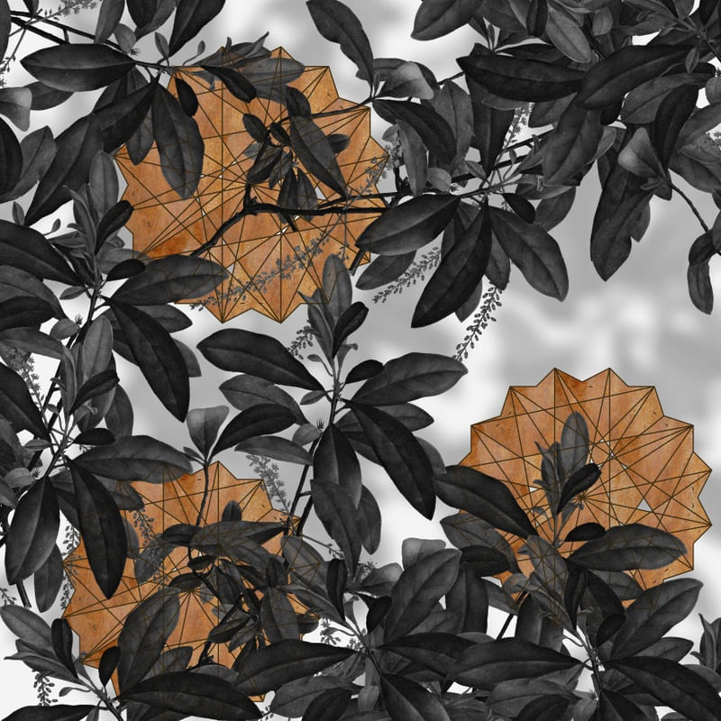 FOLHAS COM FORMAS LARANJA
