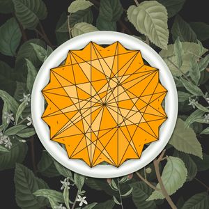 ESTRELA PLANTA