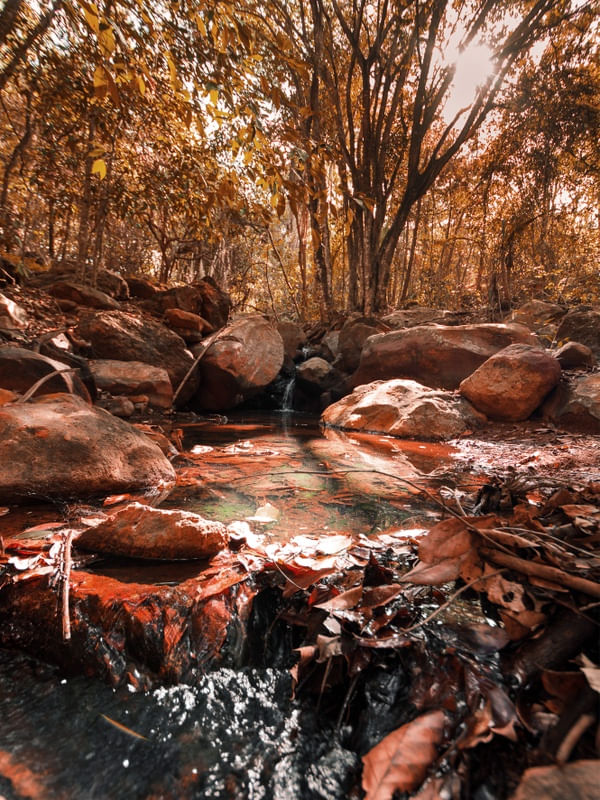 NATUREZA EM PORTALEGRE/RN