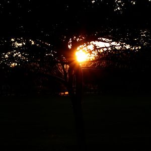 ENTRE OS RAIOS DE SOL