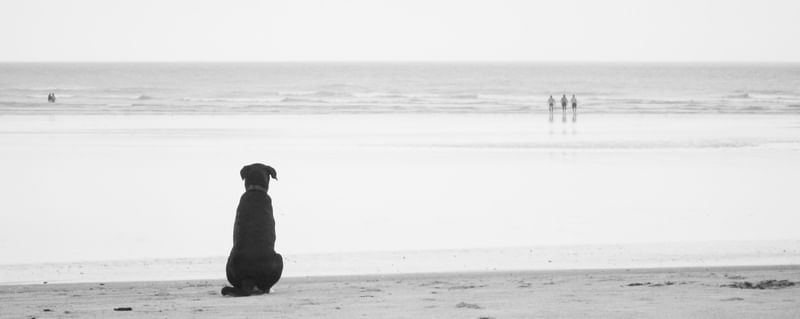 ESPERANDO ONDA