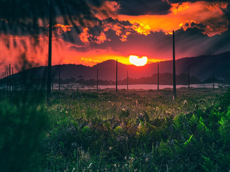 SOL ADORMECENDO