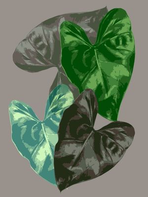 FOLIAGE III