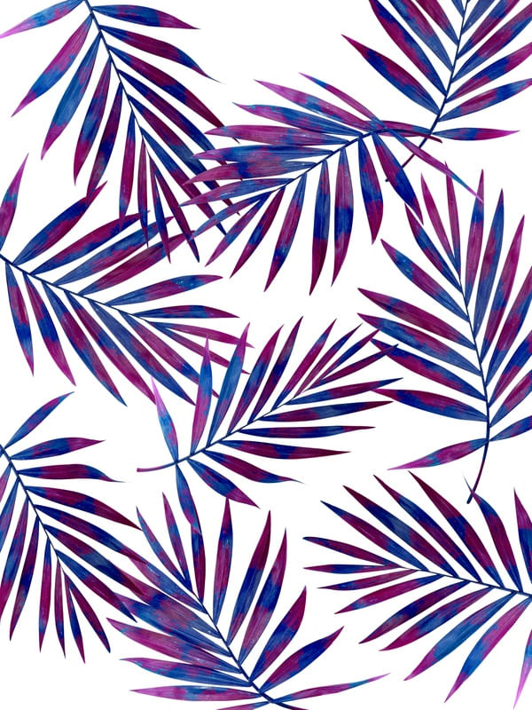 PALCOR