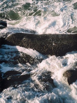 WAVES01