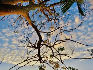 UNDER SKY