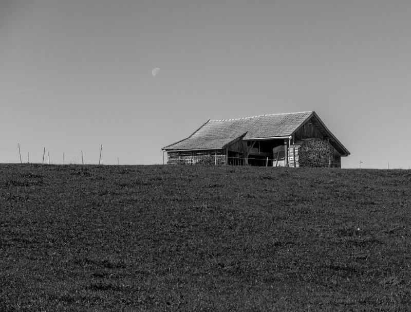 CASA NO HORIZONTE
