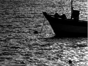 PONTA DE BARCO A SOMBRA