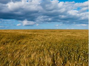 PAISAGEM EUROPÉIA