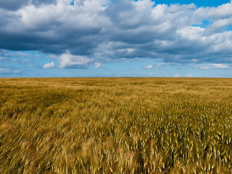 PAISAGEM EUROPÉIA
