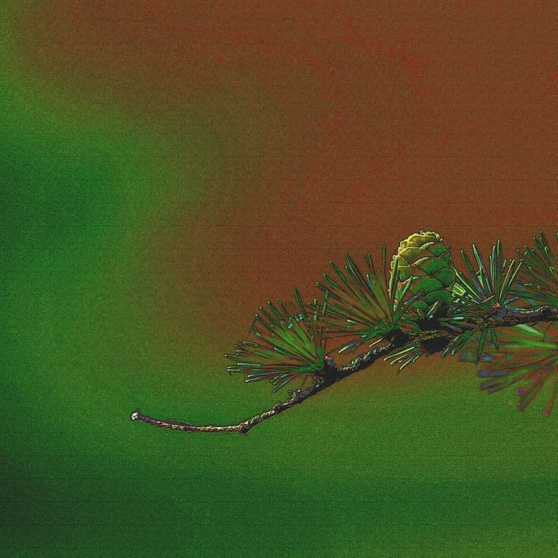 NATURALMENTE LINDO 4