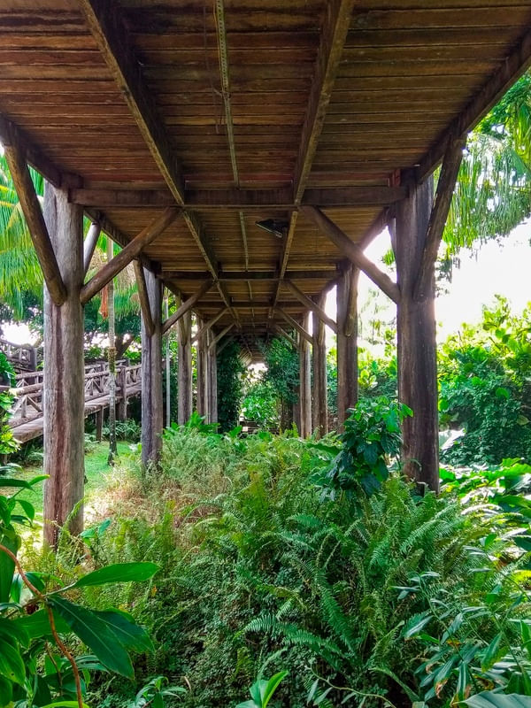 A NATUREZA DE BELÉM