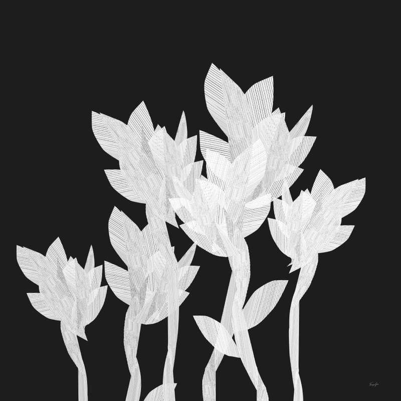 WHITE FLOWERS ART