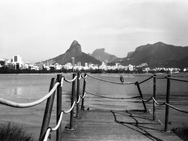 PASSARINHO NA LAGOA