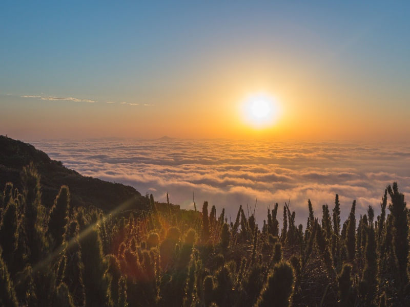 NASCER DO SOL E NUVENS