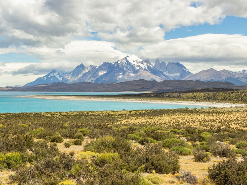 LOGOS EM TORRES DEL PAINE