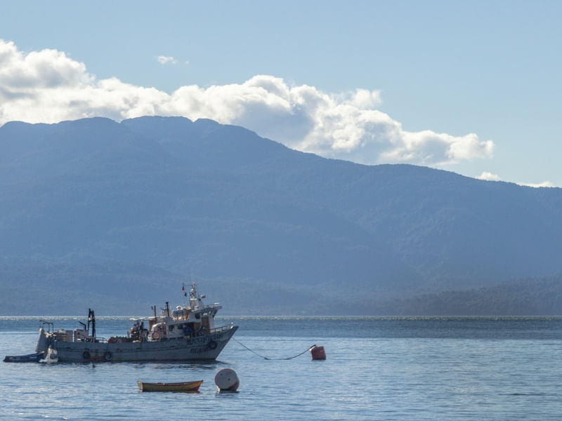 BARCO DE PESCA EM AYSEN