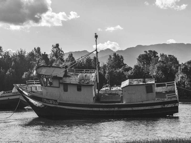 MARÉ BAIXA AYSEN