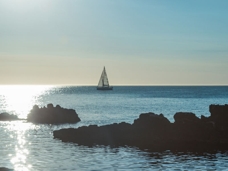 VELEIRO PUNTA BALLENA