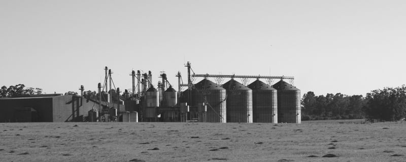 ARMAZENAMENTOS DE GRÃOS, FAZENDA