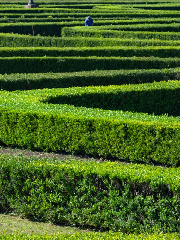 JARDINEIRO