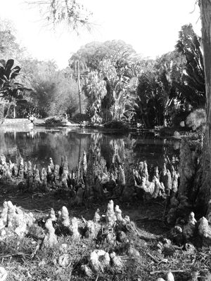 JARDIM BOTÂNICO PB