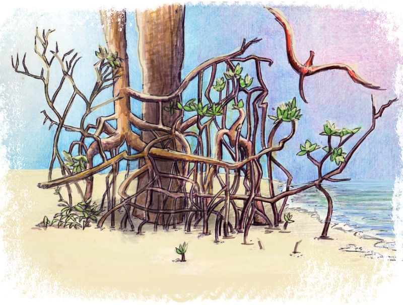 ILHA DO LIVRAMENTO