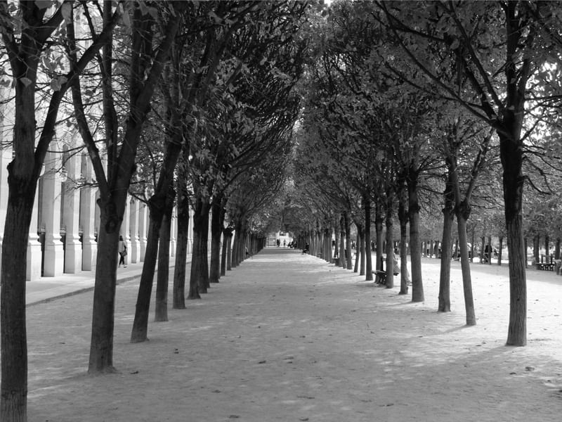 JARDIN DU PALAIS ROYAL