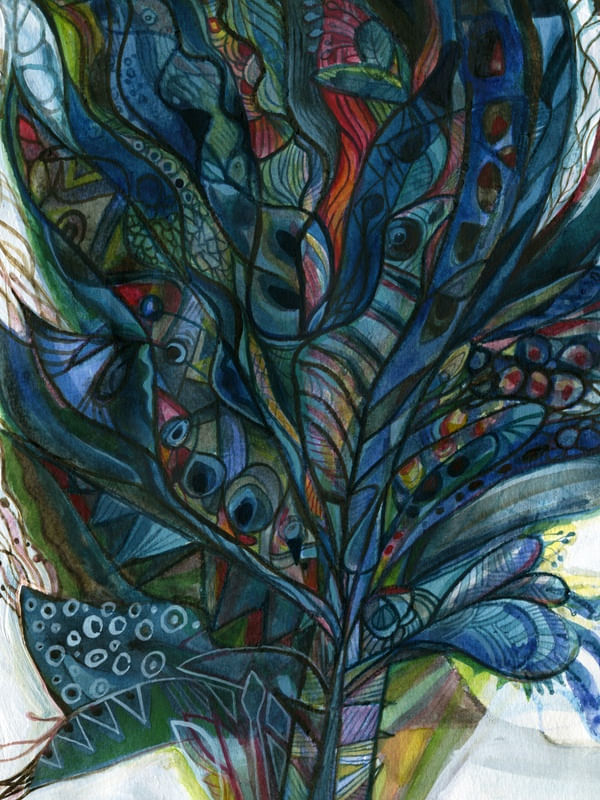 FLORESTA PRIMITIVA I
