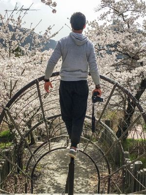 EQUILIBRIO - JP