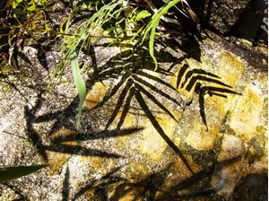 PAREDE COM TEXTURA E SOMBRAS