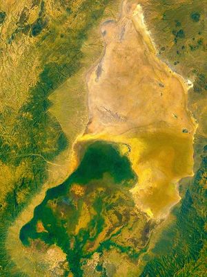GEOLOGICO 47