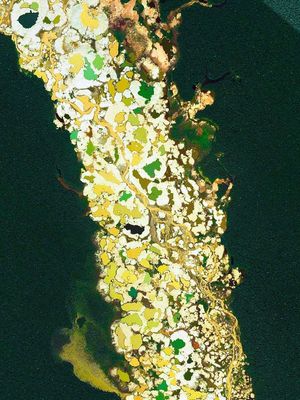 GEOLOGICO 57