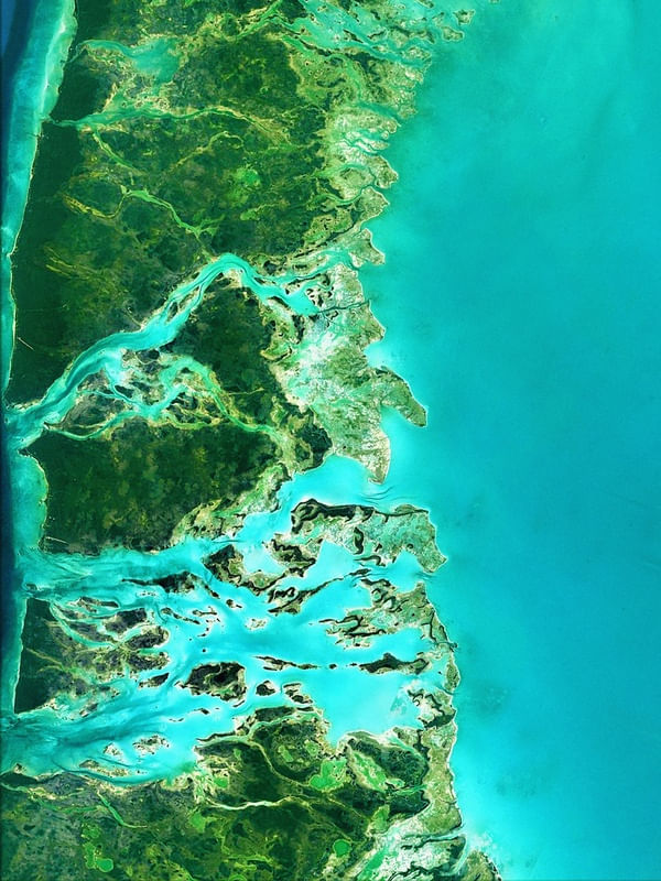 GEOLOGICO 61