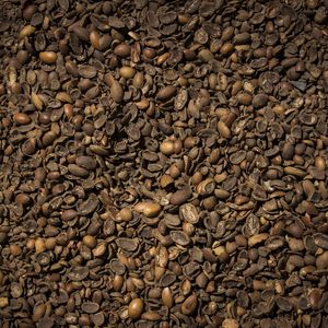 Q-CASCAS DE ARGAN