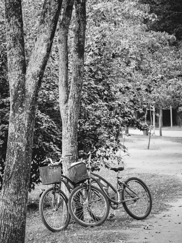 BICICLETA NO PARQUE