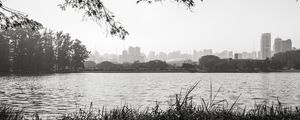 IBIRAPUERA - PAISAGEM LAGO