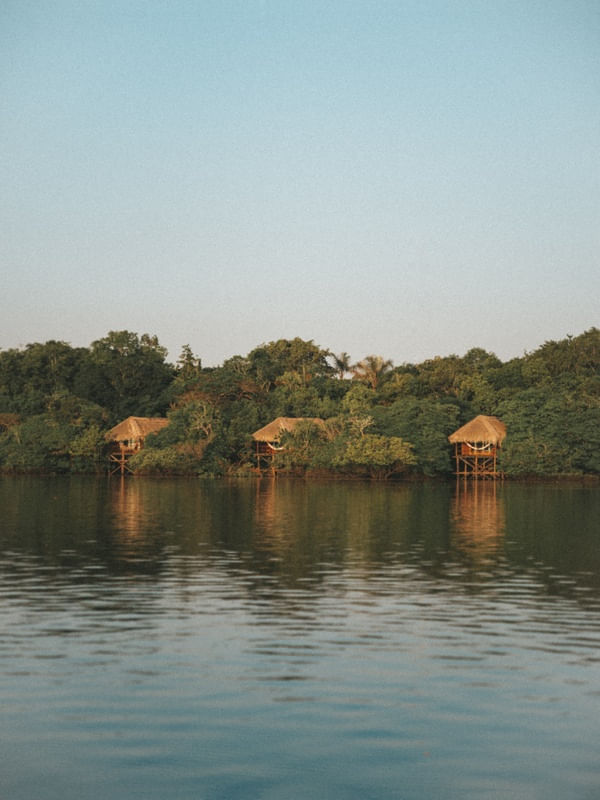 FIM DE DIA NA AMAZÔNIA