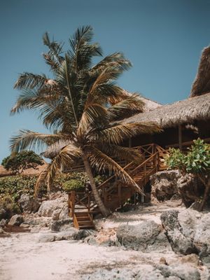 TROPICAL PUNTA CANA