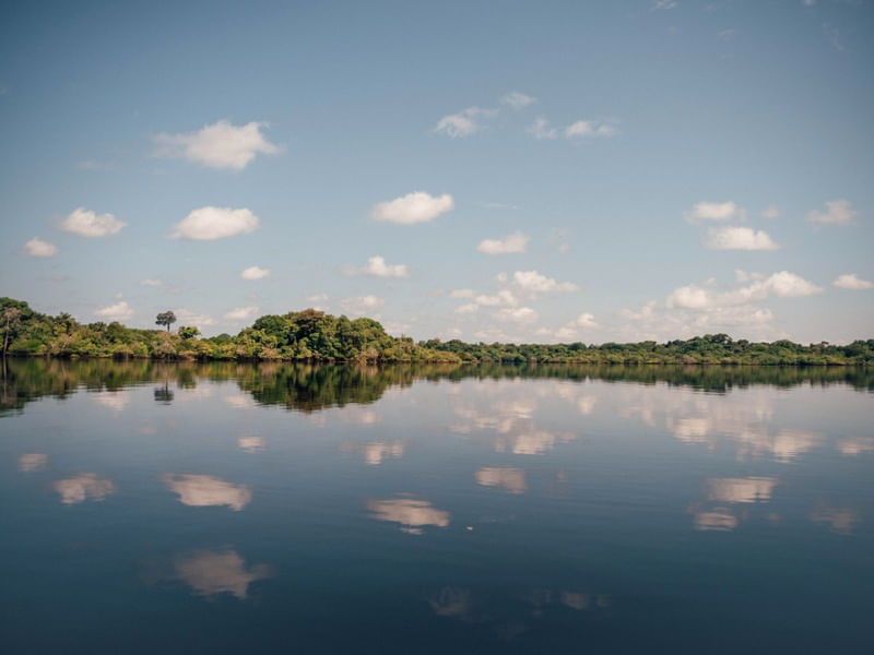 REFLEXO AMAZÔNIA