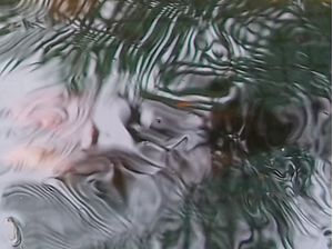 AQUARIUM 2
