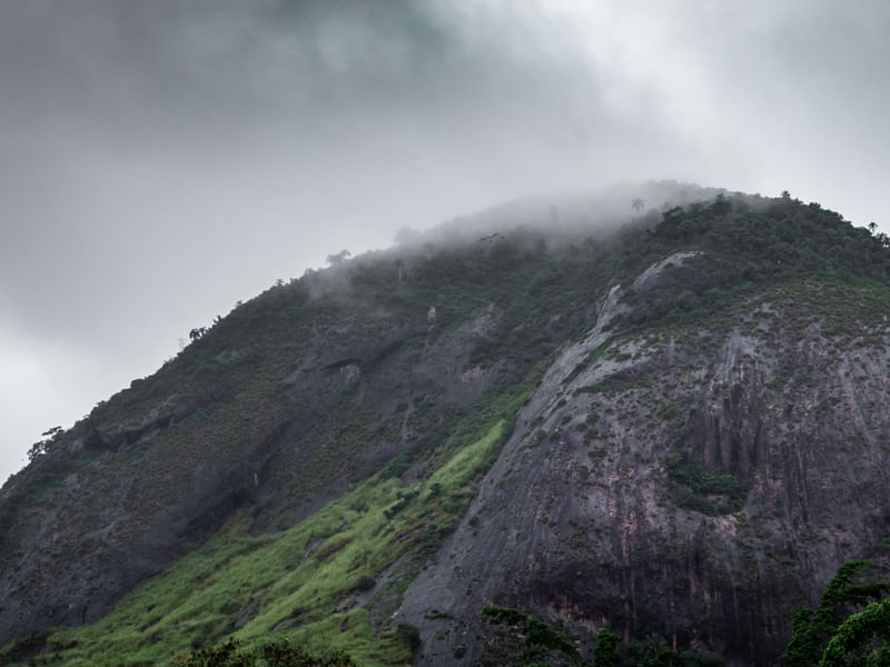 MACIÇO DA PEDRA BRANCA, VARGEM PEQUENA