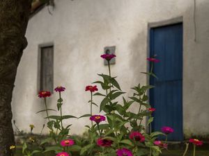 JARDIM CASA SERTANEJA