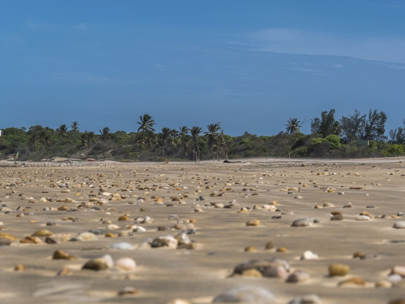 PEDRAS PRAIA PARACURU