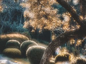 GOLDEN DREAMSCAPE