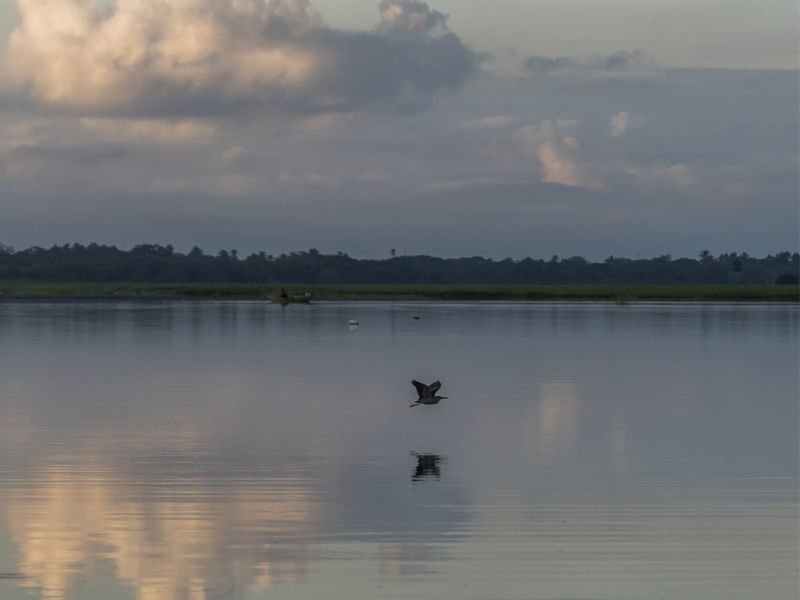 PESCADOR E PÁSSARO