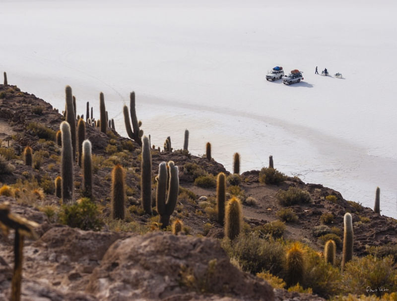 FREEDOM IN THE SALT DESERT, BOLIVIA